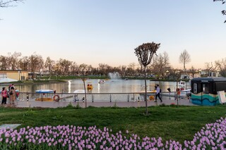 Куда пойти на выходных в Ташкенте, 30 и 31 марта